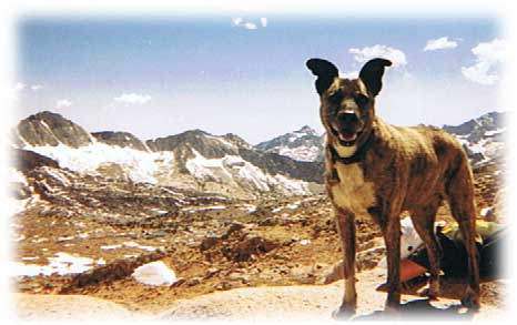 Southern Sierra Backpacking