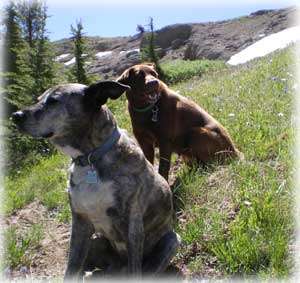 Cheyenne & Stella Dean